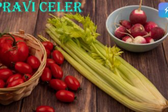 Pravi Celer